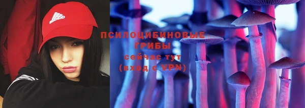 соль ск Инта