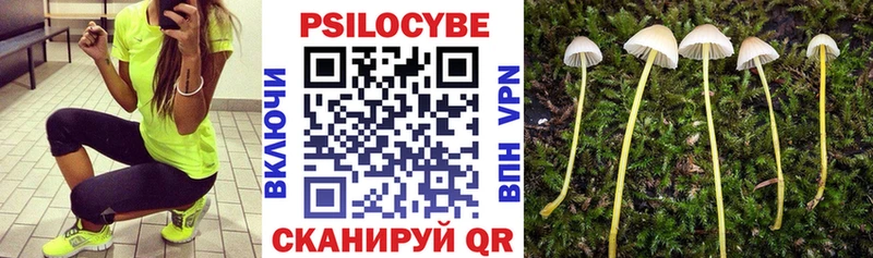 Купить где  Грайворон  Галлюциногенные грибы ЛСД 